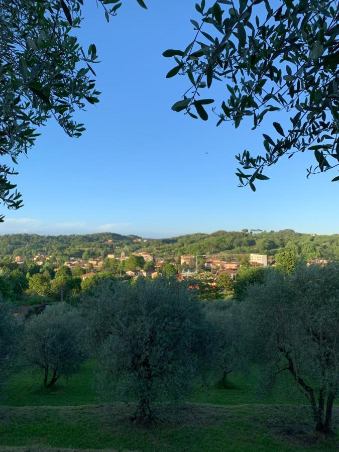 Marziani Rustic Tuscan House カパンノリ エクステリア 写真