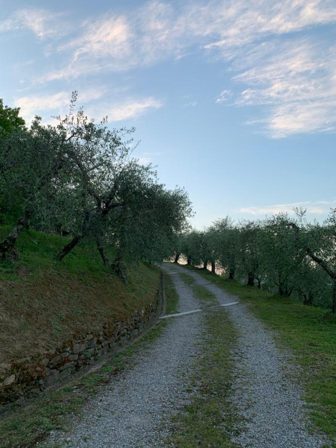 Marziani Rustic Tuscan House カパンノリ エクステリア 写真